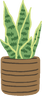 Potted Plant Illustration